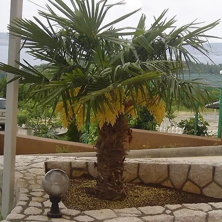 Apartament In With Sea View, Balcony, Air Conditioning, Wifi 4623-9 *